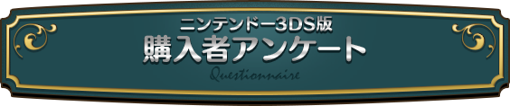 ニンテンドー3DS版/購入者アンケート