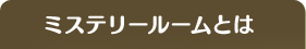 ミステリールームとは